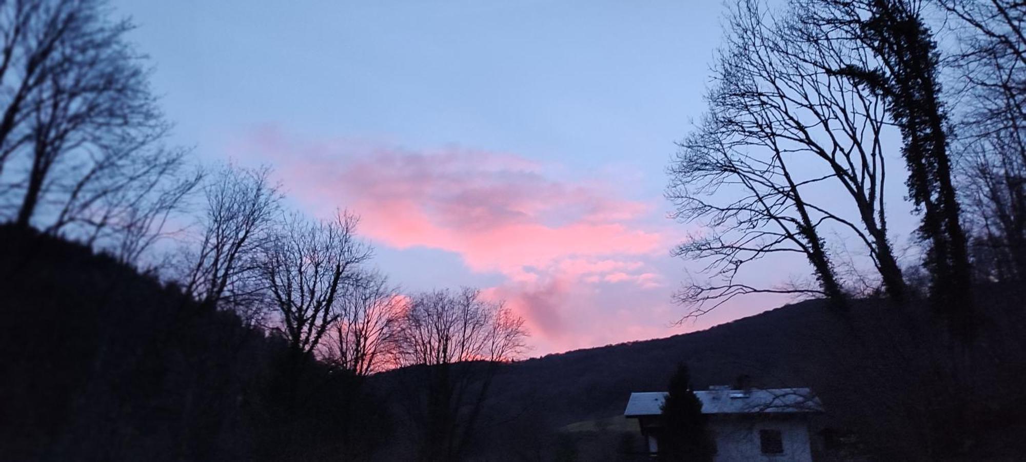 Rimbach-près-Guebwiller Un Air D'Alsaceヴィラ エクステリア 写真